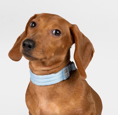 Ultra Comfort Dog Collar Soft Padded Adjustable Nylon Collar QR Code Anti-Lost Comfortable Cozy Dog Collar with Durable Aluminum Alloy Buckle for Small to Large Dogs (Midnight Black, L) in Saudi Arabia