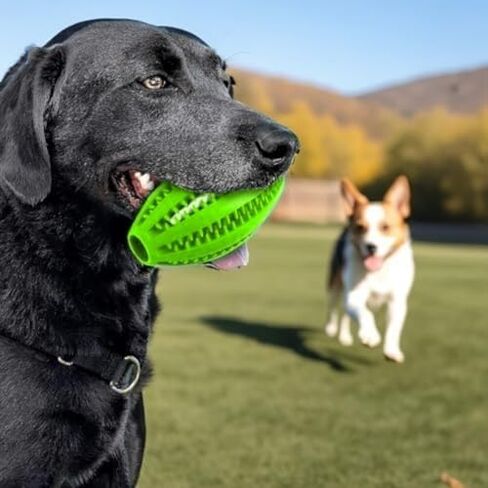 1Pc Dog Treat Toy Ball Interactive Food chew Rubber Teeth Cleaning Elastic Force Rugby Shape Blue Orange Green in Saudi Arabia