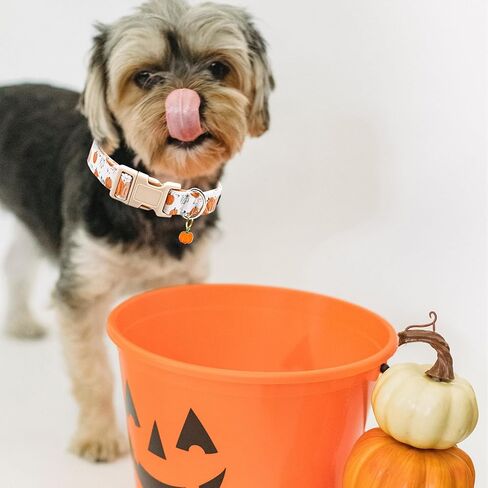 Fall Plaid Dog Collar Female or Male Dog Collars Heavy Duty Adjustable Collar for Small Dogs in Saudi Arabia