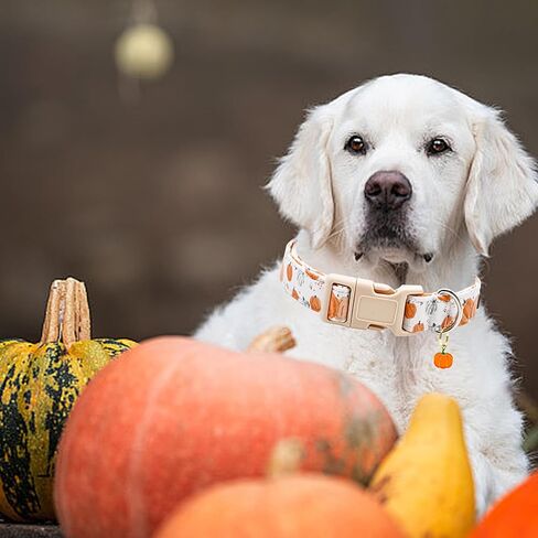 Fall Plaid Dog Collar Female or Male Dog Collars Heavy Duty Adjustable Collar for Small Dogs in Saudi Arabia