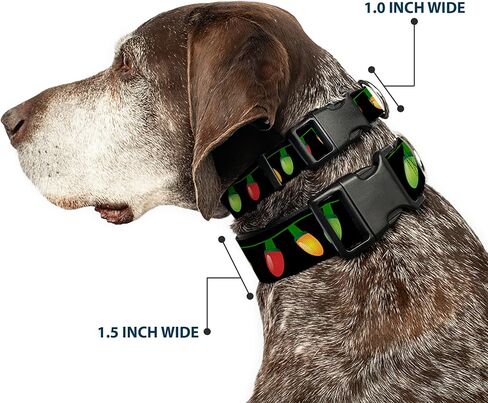 Buckle-Down Plastic Clip Collar - Christmas Lights Black/Multi Color - 1.5" Wide - Fits 16-23" Neck - Medium in Saudi Arabia