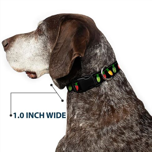 Buckle-Down Plastic Clip Collar - Christmas Lights Black/Multi Color - 1.5" Wide - Fits 16-23" Neck - Medium in Saudi Arabia