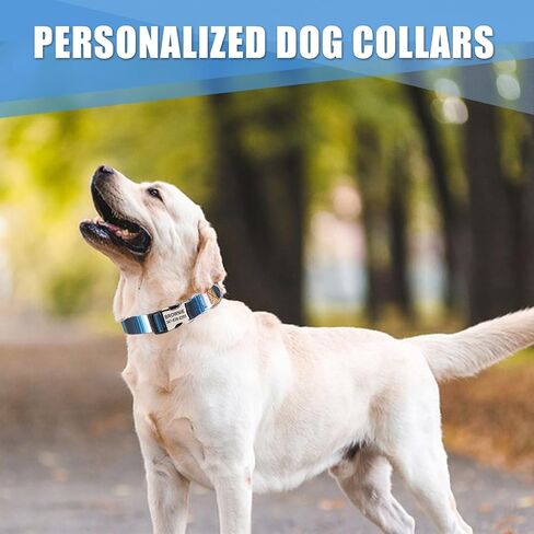 Personalized Dog Collar with Name Tag,Adjustable Soft Pet Collar,Custom Engraved Buckle Dog Collars,Multicolor Fashion Patterns Pet Collar,Christmas Dog Gift(Puzzle) in Kuwait