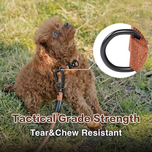 Dog Collars for Large Dogs, Heavy Duty Tactical Dog Collar with Metal Buckle, Durable Pet Collar Quick Release, Reinforced Nylon No Pull Dog Collar (Lilac Breeze, L) in Saudi Arabia