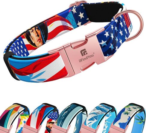 طوق للكلاب المتوسطة الحجم، نمط المناظر الطبيعية في ديترويت، طوق جرو من البوليستر ثقيل الوزن قابل للتعديل مع مشبك معدني آمن، مناسب للكلاب الإناث مقاس M in Kuwait