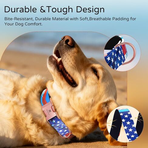 طوق للكلاب المتوسطة الحجم، نمط المناظر الطبيعية في ديترويت، طوق جرو من البوليستر ثقيل الوزن قابل للتعديل مع مشبك معدني آمن، مناسب للكلاب الإناث مقاس M in Kuwait