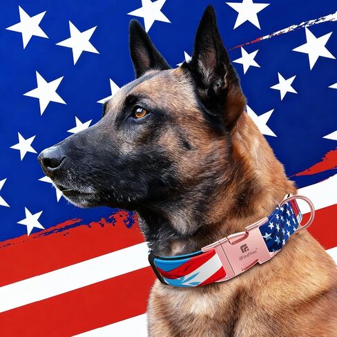 طوق للكلاب المتوسطة الحجم، نمط المناظر الطبيعية في ديترويت، طوق جرو من البوليستر ثقيل الوزن قابل للتعديل مع مشبك معدني آمن، مناسب للكلاب الإناث مقاس M in Kuwait