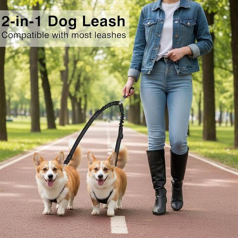Double Dog Leash for Two Dogs No Tangle Dual Leash Heavy Duty Adjustable Reflective Bungee Retractable Split Multiple Leashes for Walk Fit All Sized Breeds Black in Kuwait