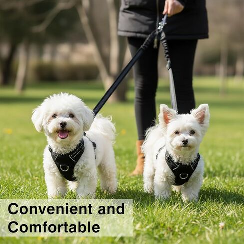 Double Dog Leash for Two Dogs No Tangle Dual Leash Heavy Duty Adjustable Reflective Bungee Retractable Split Multiple Leashes for Walk Fit All Sized Breeds Black in Kuwait