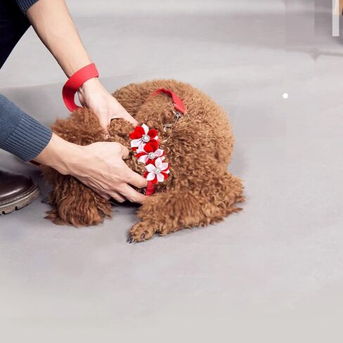 Dog Collar Flowers for Small Medium Large Dogs Bows Slip on Collars Attachment Accessories in Kuwait