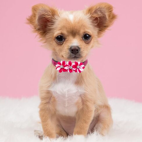 Dog Collar Flowers for Small Medium Large Dogs Bows Slip on Collars Attachment Accessories in Kuwait