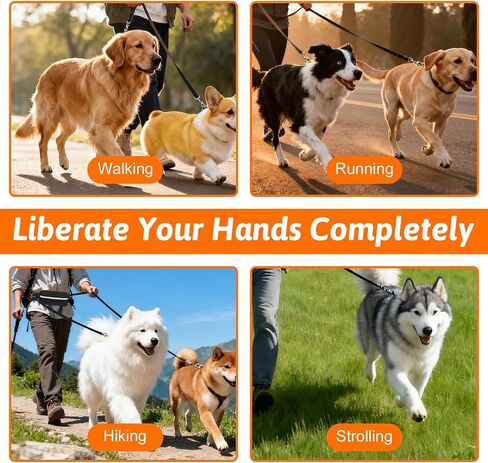Hands Free Double Leash for 2 Dogs, Adjustable Waist Leash for Dog Walking 2 Dogs, Heavy Duty No Tangle Double Retractable Dog Leashs for Medium Large Running, Jogging, Hiking(Black) in Saudi Arabia