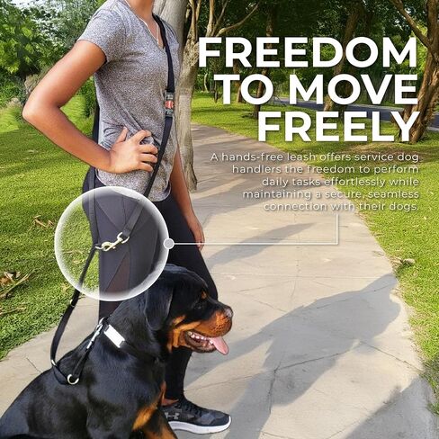 مقود ActiveDogs بدون استخدام اليدين - بطول 7 أقدام، مقود خدمة للكلاب مع علامة "Service Dog Do Not Pet" من الكروم - نايلون قوي 3/4 بوصة، خياطة مزدوجة، أسود in Kuwait