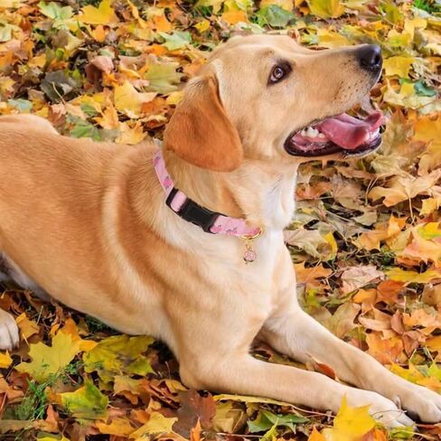 Pink Rose Patterned Pet Collar with Pendant Adjustable for Dogs Collar in Saudi Arabia