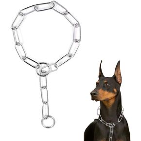 طوق كلب بسلسلة فضية، طوق معدني للتدريب، أطواق مارتينجال، سلاسل جرو للكلاب الصغيرة والمتوسطة والكبيرة مقاس XXS XS، مقاس M in Kuwait