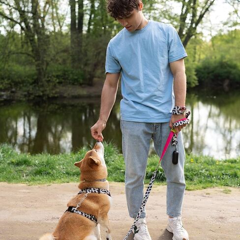 Dog Collar Safety Clip Stainless Steel Dog Collar Backup Strap Harness Collars Leash Chain Connector Heavy Duty Double End Spring Backup Buckle Clasp Escape Proof Safety Accessory for Dogs in Kuwait