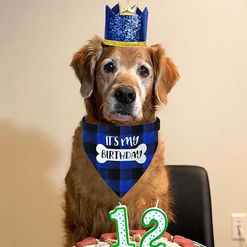 Dog Birthday Bandana Collar - It's My Birthday Adjustable Pet Scarf with Quick Release Buckle & D-Ring for Small Medium Large Dogs & Cats (Blue Plaid, Large) in Saudi Arabia