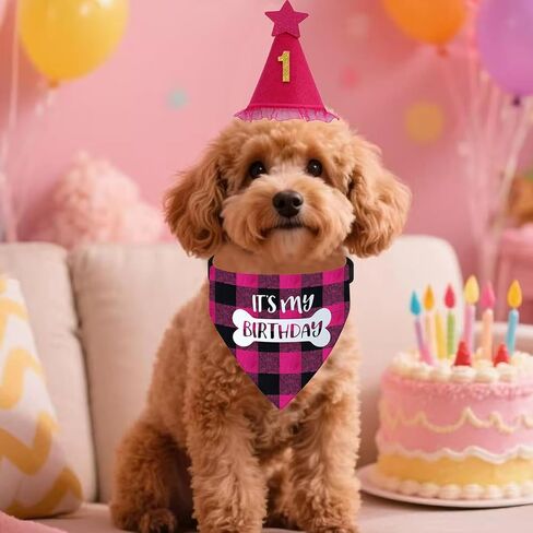 Dog Birthday Bandana Collar - It's My Birthday Adjustable Pet Scarf with Quick Release Buckle & D-Ring for Small Medium Large Dogs & Cats (Blue Plaid, Large) in Saudi Arabia
