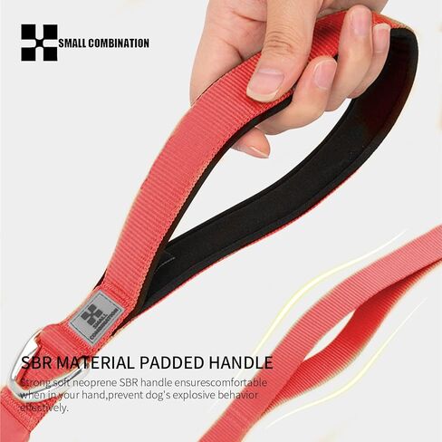 Pet Leash with Pockets, Multiple Handles Design, Chain Rope Breathable Mesh Lining Training Control Pet Walking Lead for All Breeds (Black, L) in Kuwait