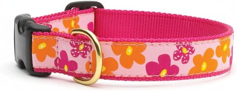 UP Country Beachballs Jolar M in Kuwait