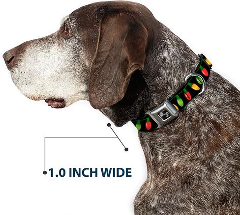 Buckle-Down 16-23" Christmas Lights Black/Multi Color Dog Collar Bone, Wide Medium in Saudi Arabia