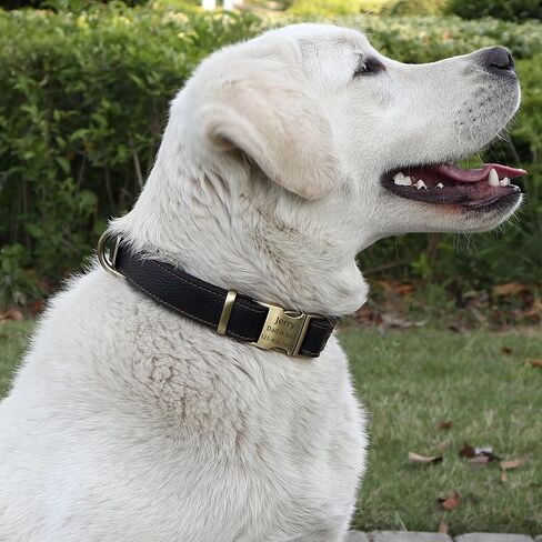 Personalized Dog Collars, Double-Layer Genuine Leather Dog Collar Engraved with Name and Phone Number for Small,Medium,Large Dogs in Saudi Arabia