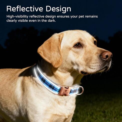 Dog Collar for Small Dogs, Stylish Rose Red Checkered Plaid, Elegant Reflective and Adjustable Puppy Collar with Metal Buckle, Suitable for Female Dogs S in Kuwait