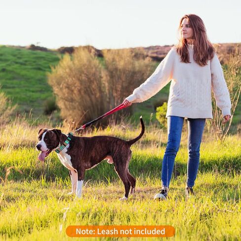 Adjustable Dog Collar for Small Medium Large Dogs - Colorful Pattern, Soft Polyester Pet Collar with Plastic Buckle (Macaron, M) in Kuwait