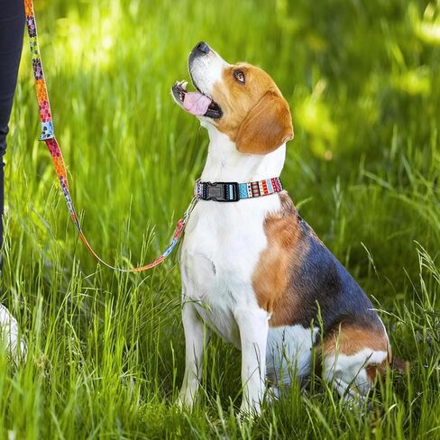 Adjustable Dog Collar for Small Medium Large Dogs - Colorful Pattern, Soft Polyester Pet Collar with Plastic Buckle (Macaron, M) in Kuwait