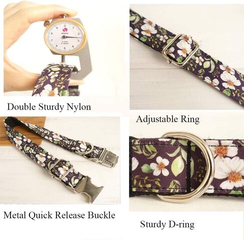 Dog Collar Red Metal Buckle in Saudi Arabia