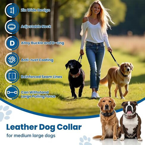 طوق جلدي للكلاب، طوق كلب جلدي عريض قابل للتعديل مقاس 2 بوصة للكلاب الكبيرة، أطواق شديدة التحمل مقاومة للصدأ مع مشبك معدني للكلاب المتوسطة والكبيرة in Kuwait
