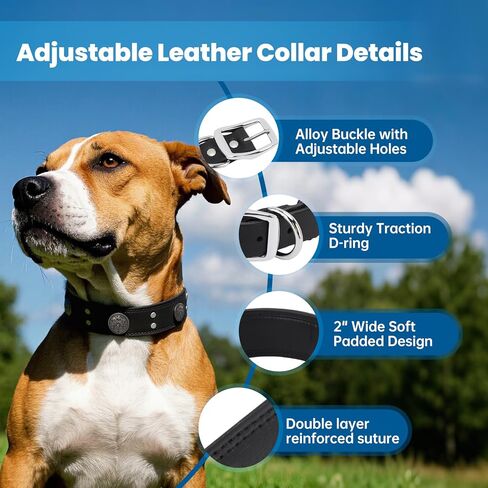 طوق جلدي للكلاب، طوق كلب جلدي عريض قابل للتعديل مقاس 2 بوصة للكلاب الكبيرة، أطواق شديدة التحمل مقاومة للصدأ مع مشبك معدني للكلاب المتوسطة والكبيرة in Kuwait