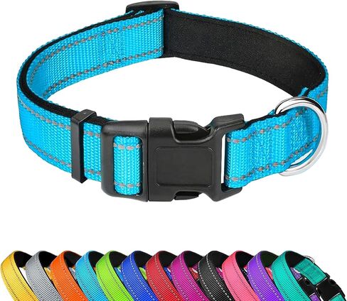Reflective Dog Collar, Adjustable Soft Neoprene Padded Nylon Pet Collars with Buckle for Medium Dogs, Sky Blue,M in Saudi Arabia