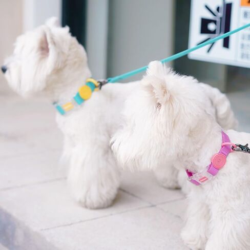 Waterproof, Fashionable, Durable,Adjustable Dog Collarfor Small Medium Large Dogs (Rose Red,L) in Saudi Arabia