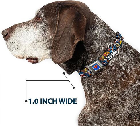 Buckle-Down Seatbelt Buckle Dog Collar - SUPERMAN Action Blocks White - 1.5" Wide - Fits 16-23" Neck - Medium in Saudi Arabia