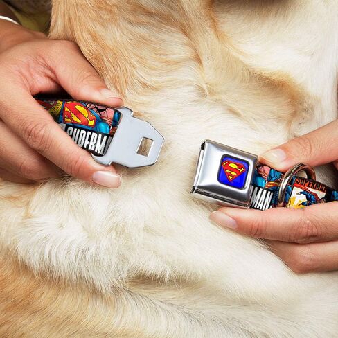 Buckle-Down Seatbelt Buckle Dog Collar - SUPERMAN Action Blocks White - 1.5" Wide - Fits 16-23" Neck - Medium in Saudi Arabia
