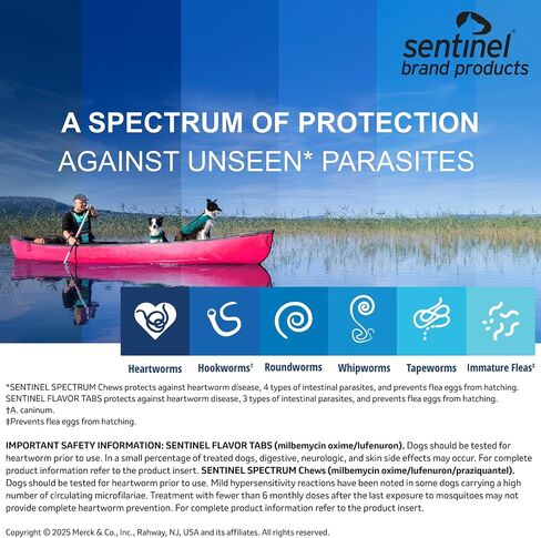 SENTINEL SPECTRUM Chews for Dogs, 8.1-25 lbs, 6 Chews, 6-Month Supply, Green Box in Saudi Arabia