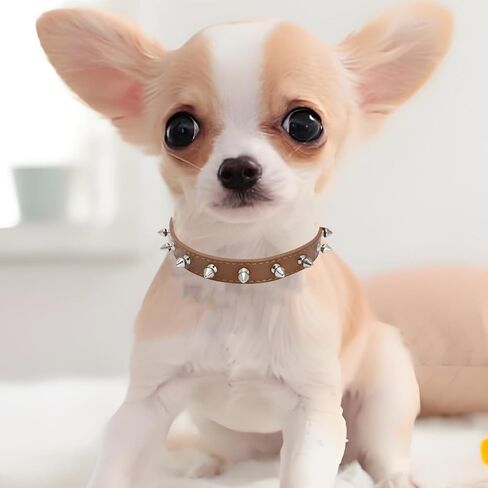Dog Collar for Small Medium Dog, Durable Soft Leather Collar for Girl and Boy, Adjustable Puppy Collar Suitable for Running, Playing in Saudi Arabia