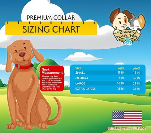 Country Brook Petz - طوق ومقود للكلاب من النايلون الفاخر - أكثر من 10 ألوان رائعة (متوسط، 3/4 بوصة، أخضر) in Kuwait