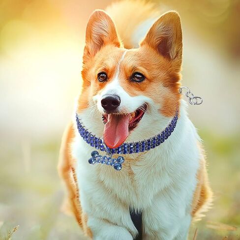 Dog Collar, Adjustable Diamonds Pet Collars with Bone Pendant for Medium Dogs, for Medium Large Dogs(Blue) in Saudi Arabia