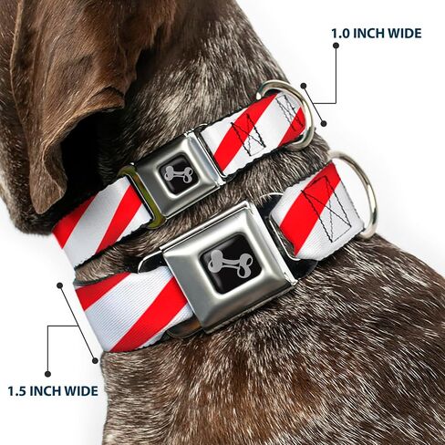 Buckle-Down Seatbelt Buckle Dog Collar - Candy Cane - 1" Wide - Fits 15-26" Neck - Large in Saudi Arabia
