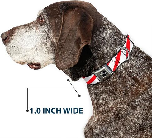 Buckle-Down Seatbelt Buckle Dog Collar - Candy Cane - 1" Wide - Fits 15-26" Neck - Large in Saudi Arabia