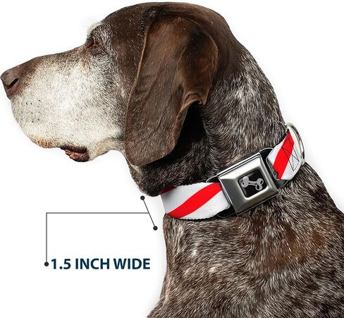 Buckle-Down Seatbelt Buckle Dog Collar - Candy Cane - 1" Wide - Fits 15-26" Neck - Large in Saudi Arabia