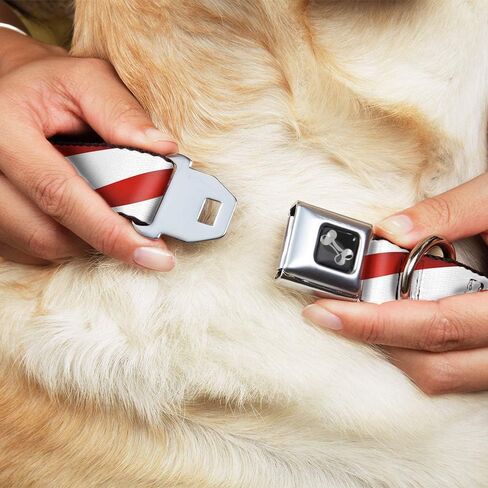 Buckle-Down Seatbelt Buckle Dog Collar - Candy Cane - 1" Wide - Fits 15-26" Neck - Large in Saudi Arabia