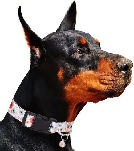 Fashion Happy Floral Patterned Pet Collar Adjustable for Dogs Buckle Dog Collar, S-L in Saudi Arabia