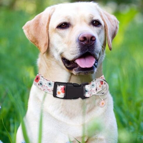 Fashion Happy Floral Patterned Pet Collar Adjustable for Dogs Buckle Dog Collar, S-L in Saudi Arabia