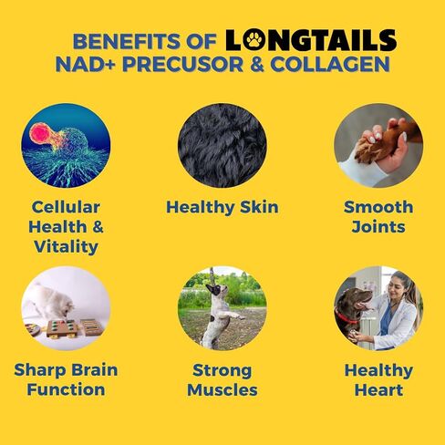 NAD+ Precursor Supplement for Dogs – Senior Dog Muscle, Heart & Cognitive Support – with Nicotinamide Riboside, Collagen & Bone Broth – 4.48 oz Powder in Saudi Arabia
