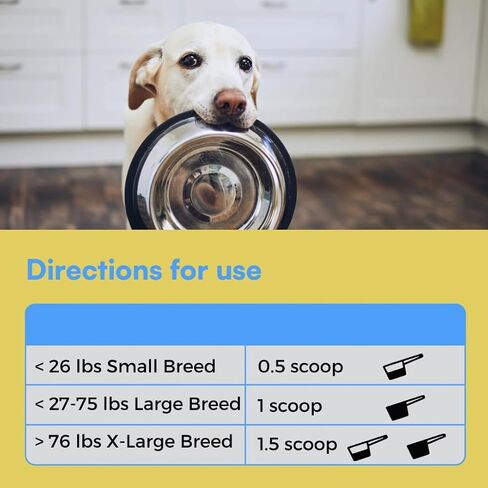 NAD+ Precursor Supplement for Dogs – Senior Dog Muscle, Heart & Cognitive Support – with Nicotinamide Riboside, Collagen & Bone Broth – 4.48 oz Powder in Saudi Arabia