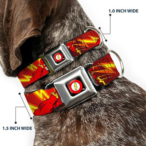 Dog Collar Seatbelt Buckle The Flash Boom Kaboom 15 to 26 Inches 1.0 Inch Wide in Saudi Arabia