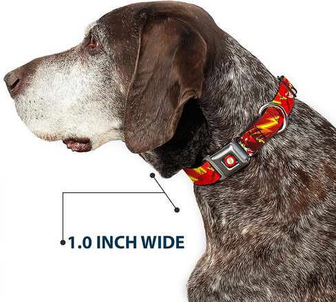 Dog Collar Seatbelt Buckle The Flash Boom Kaboom 15 to 26 Inches 1.0 Inch Wide in Saudi Arabia